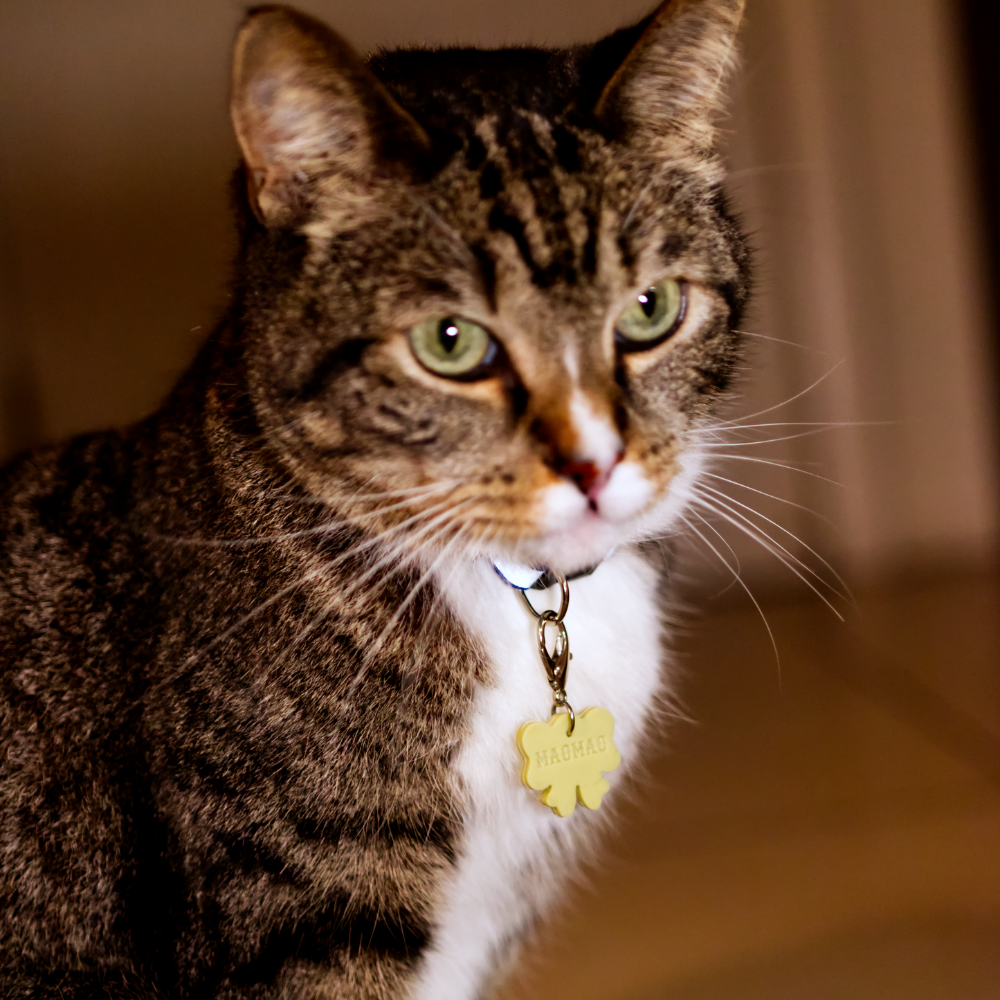 Ribbon Pastel Silicone Tag Jingle-Free